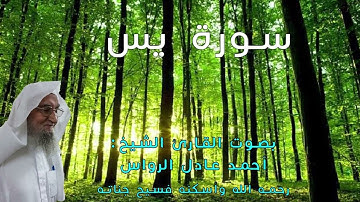 المصحف المرتل | سورة يس | للشيخ أحمد عادل الرواس