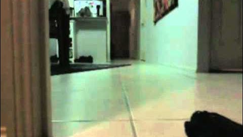 How to mod the nerf longshot front gun