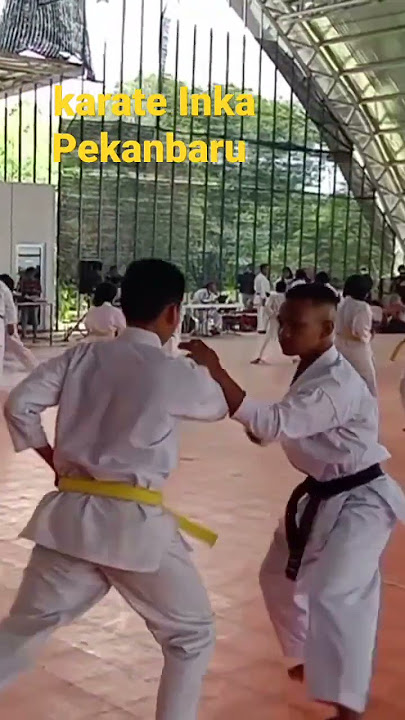 Karate INKAI 