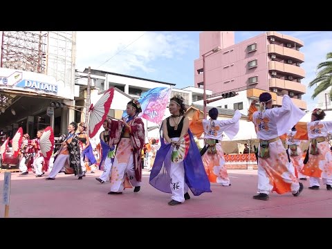 「 波桜 」安濃津よさこい2016 10/8(土)【フェニックス会場】
