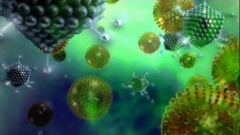 How disinfectants can help to remove harmful germs from your home | Global Hygiene Council