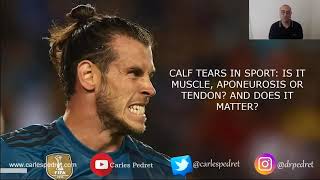 Calf tears in sport  Is it muscle, aponeurosis or tendon  And does it matter?