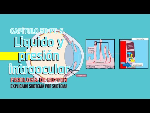 CAP 50 5/5: Liquido y presión intraocular l Fisiología de Guyton