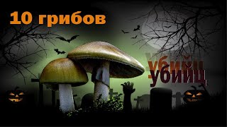 СМЕРТЕЛЬНО ОТРУЙНІ ГРИБИ УКРАЇНИ