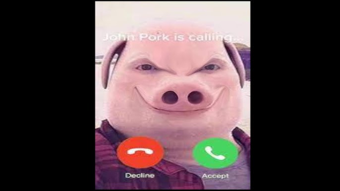Technoblade face real 😳😳, John Pork / John Pork Is Calling