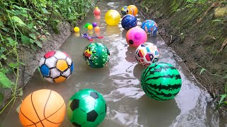 Lempar bola dan belajar jenis bola di irigasi sawah,bola sepak,bola basket,bola karakter,bola warna.