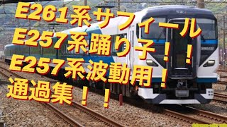通過集！E261系、E257系　踊り子号、サフィール踊り子号、波動用