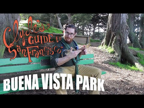 Video: San Franciscos Buena Vista Park: The Complete Guide