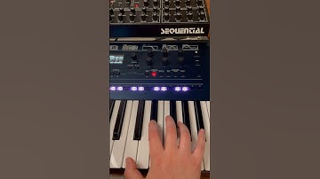 korg opsix + sequential prophet rev2 strange percs