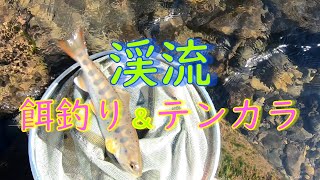 【渓流釣り】餌釣りのちテンカラ