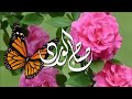 صباح الخير والسعادة همسات أحلى الكلام Good Morning Happiness 