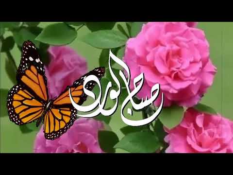 صباح الخير والسعادة همسات أحلى الكلام Good Morning Happiness 