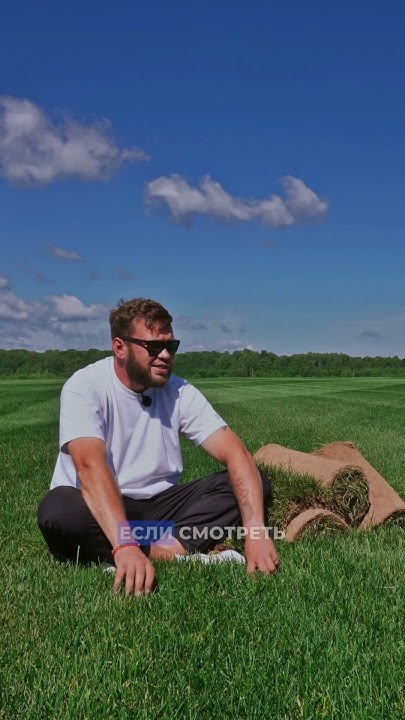 ВРЕДНЫЙ РУЛОННЫЙ ГАЗОН, так ли это? #ландшафт #рулонныйгазон #газон # ...