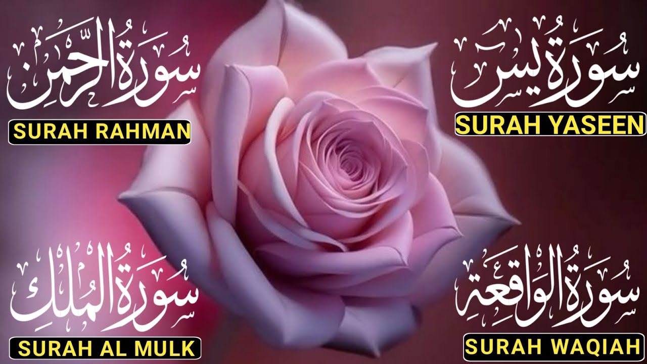 Surah Yaseen ❤ Surah Rahman ❤ Surah Al Waqia ❤ Surah Al mulk Soothing Quran recitation | Ep206
