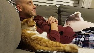 Cat Becomes Totally Obsessed With His Human  Cat and Human Moments