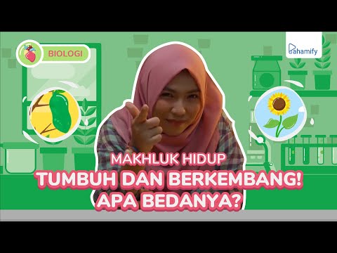 Video: Apakah semua organisme menunjukkan pertumbuhan?