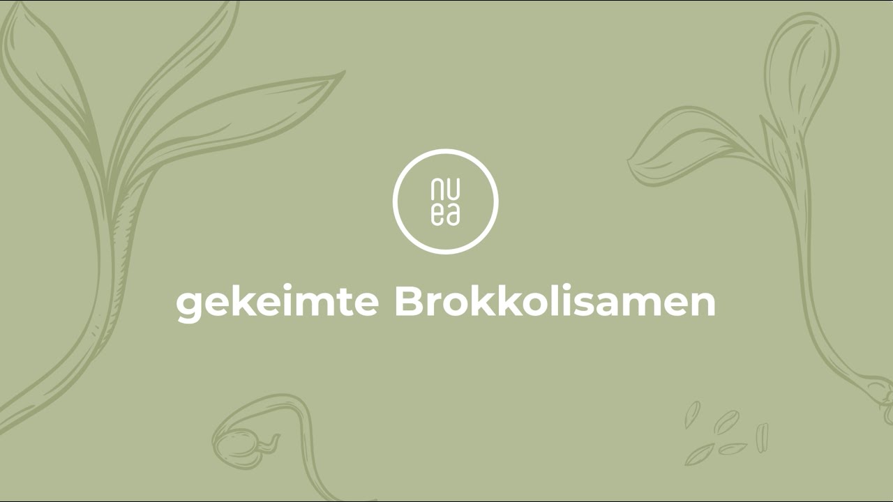 BIO Brokkolisamen gekeimt  NUEA