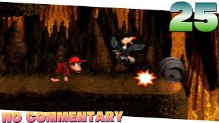 Donkey Kong Country (25)- Elevator Antics