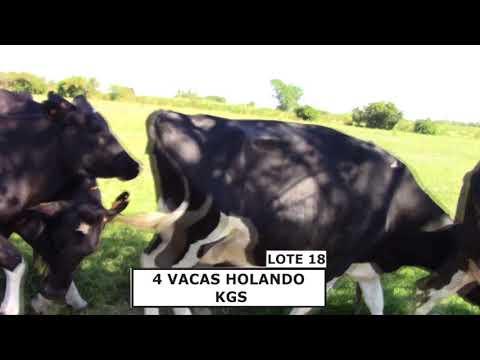 video phone beyonce mp3 Copia de Copia de 18.mpg