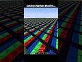 Minecraft Craziest Optical Illusion...🤯 #shorts #funny #minecraftmeme