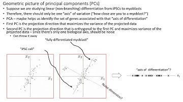 MCB 182 Lecture 9.12 - Introduction to PCA (scRNA-seq)