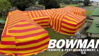 Why Fumigation Works | Kona, HI – Bowman Termite & Pest Management