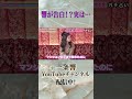 響が告白!?実は、、、、#一条響 #キャバ嬢 #カリスマキャバ嬢 #プリマ東京#六本木#アレン様