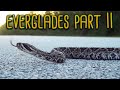 Everglades cruising Part 2. This place doesn't disappoint!