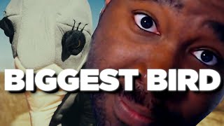 We Reacted to SAINT MERCATØR - Da Biggest Bird (Official Video)