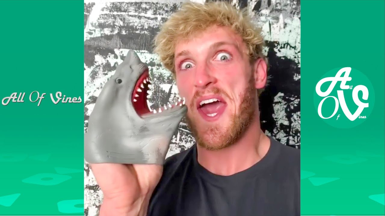 Try Not To Laugh While Watching Shark Puppet Compilation 2020 - Funny Shark  Puppet Instagram Videos - YouTube