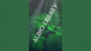 🎧🎵Audio  Library You Tube 🎧🎵[ Firefly ]
