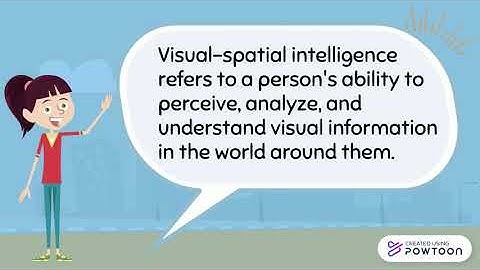 Visual-Spatial Intelligence