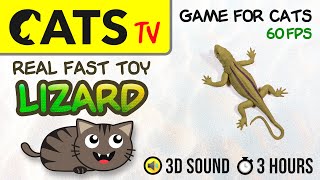 GAME FOR CATS  Fast Lizard Guecko  Toy 60fps  3 HOURS [CATS TV] Games on screen