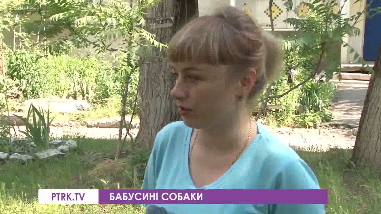 Патологическое накопительство животных