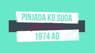Pinjadako Suga -1974 Ad Guitar Solo Cover