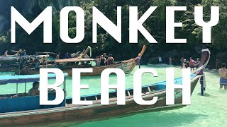 MONKEY BEACH THAILAND 2020
