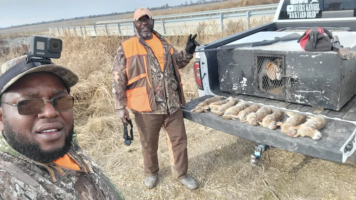 Four rabbits off from getting the limit | Father a...