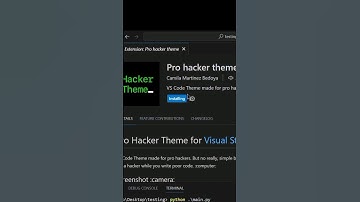 Pro Hacker theme in VScode #python #coding