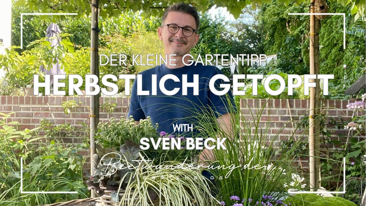 Der kleine Gartentipp: Herbstlich getopft / Beetwunderung / Gartenblog