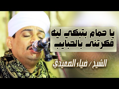 يا حمام بتنوح ليه فكرتنى بالحبايب الشيخ ضياء الصعيدي ساحر القلوب