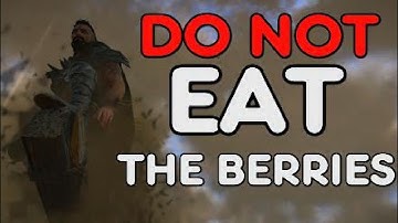 Eivor has the runs What happened and how to fix it in Assassins Creed Valhalla Wrath of Druids.