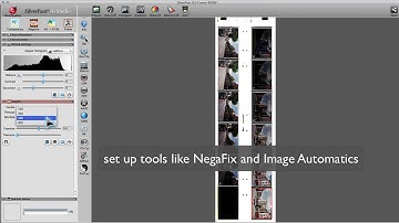 SilverFast 8 batch scanning using a flatbed scanner