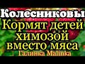 Семья Колесниковых Кормят детей химозой вместо мяса