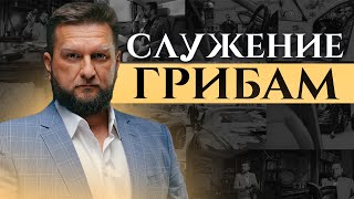 Служение Грибам Павел Дмитриев • Гипно-Коучинг is live!