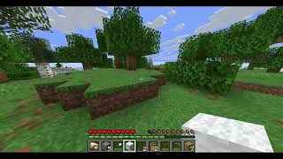 Minecraft Challenge: Kill A Sheep With An Iron Shovel  World Record