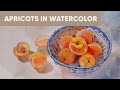 Apricots in watercolor | Sketch | Still life