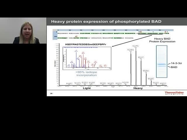 Cell Free Methods for producing protein microassays