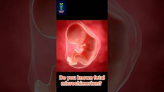 #fetalMicrochimerism#BiologyFacts#Genetics#PregnancyScience #MotherAndChild#fetal# #ScienceAmazing