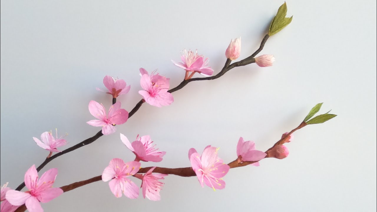 制作纸艺桃花/How To Make Peach Blossom Flower From Crepe Paper/Paper Flowers/Peach Blossom Flower