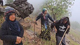Adventure of Searching for Goats in the Mountains: A Experience from a Rainy Day